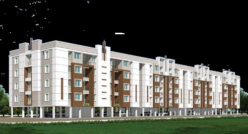  magnolia Images for Elevation of Arboretum Magnolia