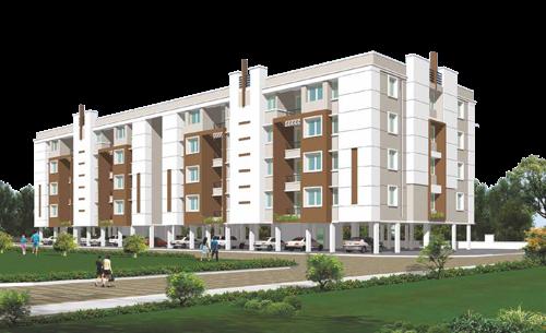  magnolia Images for Elevation of Arboretum Magnolia