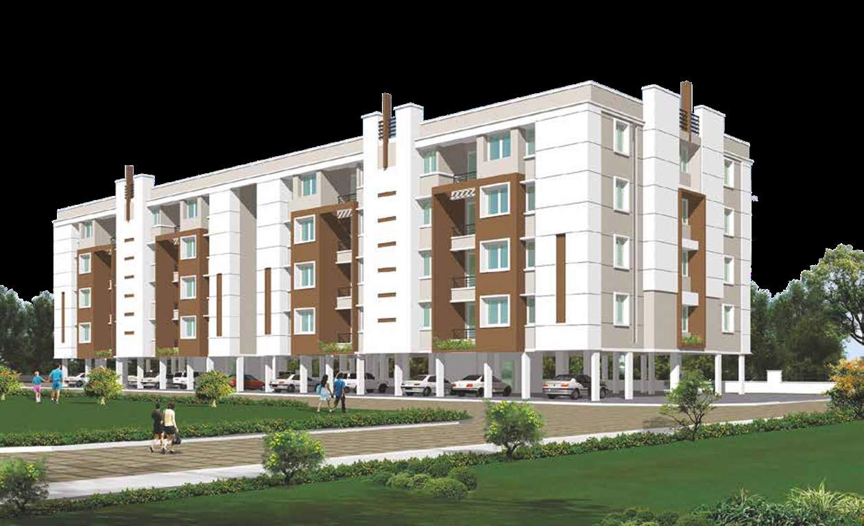  magnolia Images for Elevation of Arboretum Magnolia