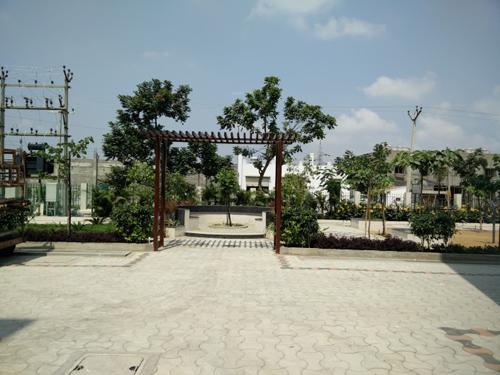  magnolia Images for Amenities of Arboretum Magnolia