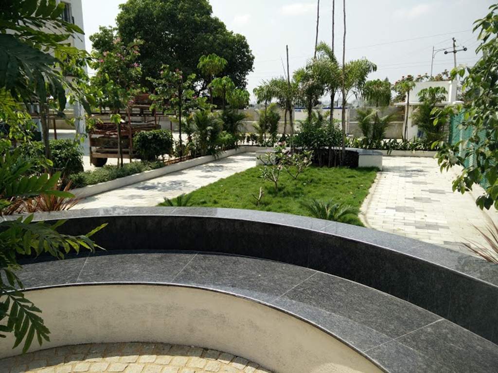  magnolia Images for Amenities of Arboretum Magnolia