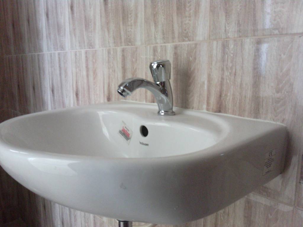 Images for Main Other of Arboretum Magnolia