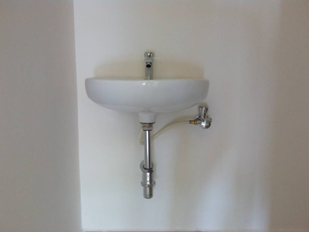 Images for Main Other of Arboretum Magnolia