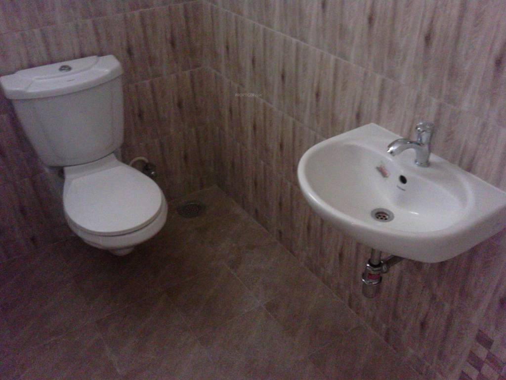 Images for Main Other of Arboretum Magnolia