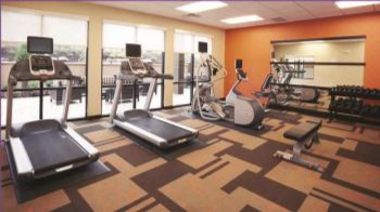 Gymnasium skylark Gymnasium