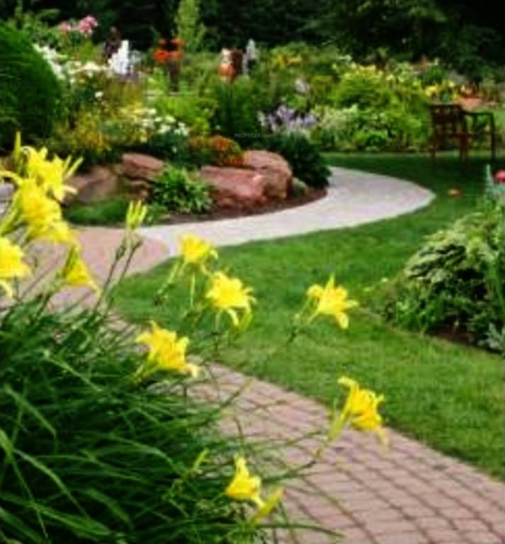 Images for Amenities of Siri Heritage