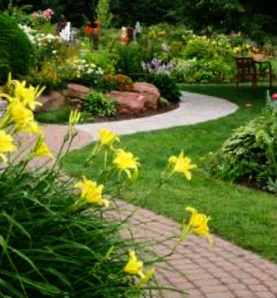 Images for Amenities of Siri Heritage Images for Amenities of Siri Heritage