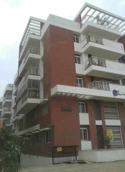 Images for Elevation of Indes Projects Mayflower Apartments