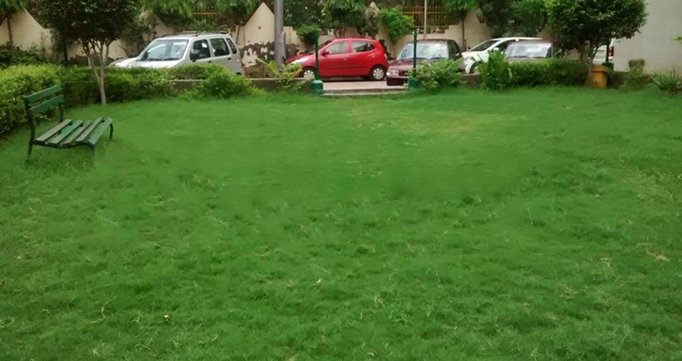 Images for Amenities of DDA Park View Apartments