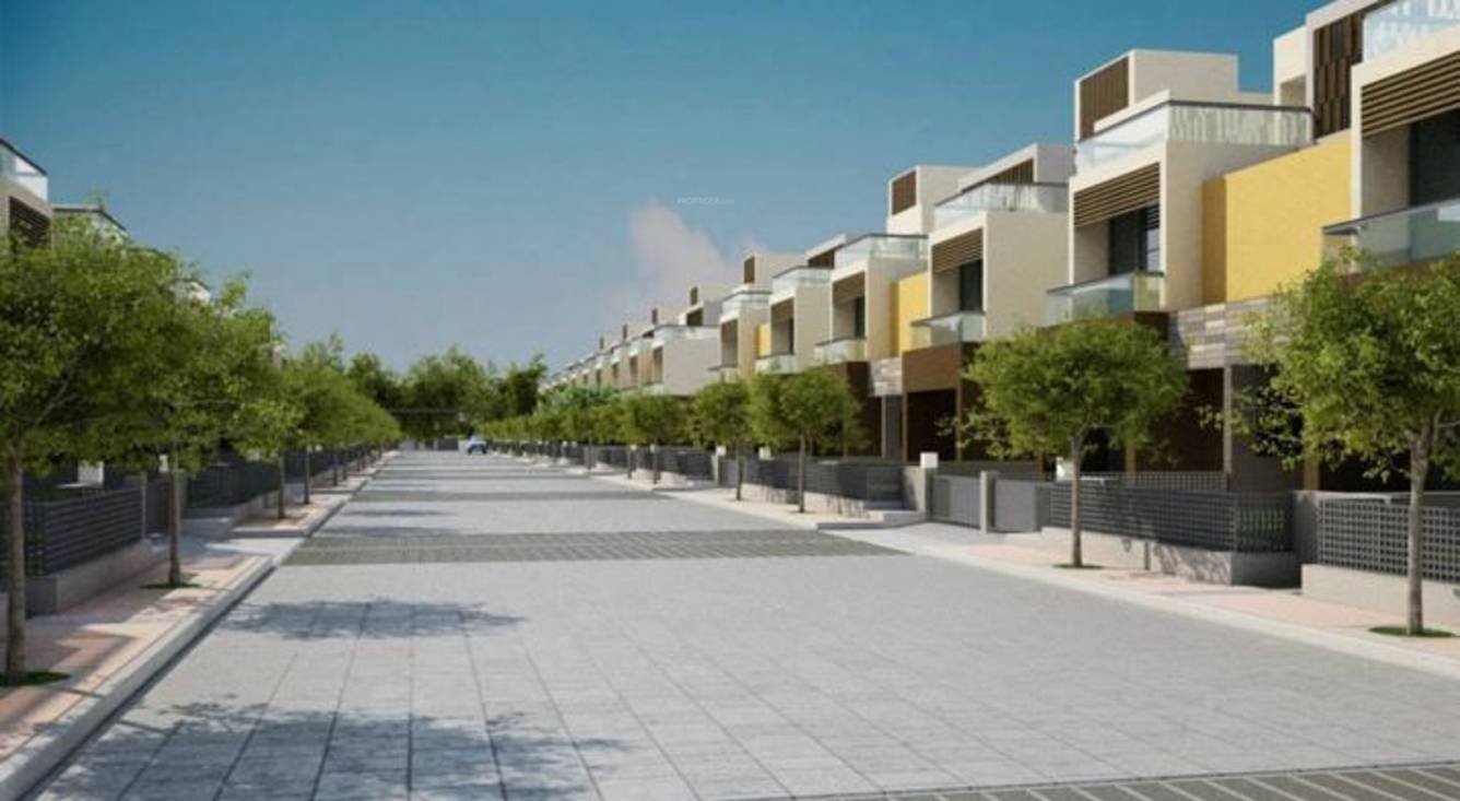 Images for Elevation of Alpine Alpine Woods