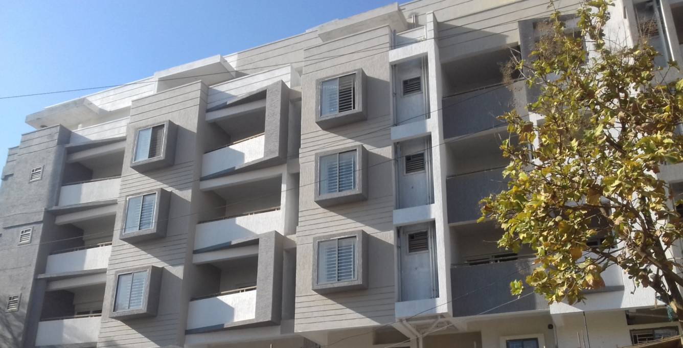  sparkle nest Images for Project