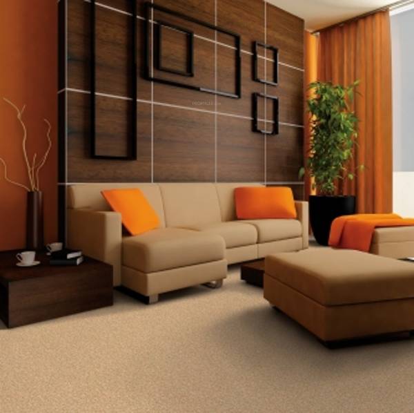 Images for Main Other of DS DSMAX SPARK NEST Images for Main Other of DS DSMAX SPARK NEST