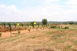  sree-yadadri-township Images for Main Other of LNR Sree Yadadri Township