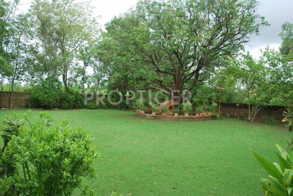 Images for Elevation of Sun Builders Sun Green Images for Elevation of Sun Builders Sun Green