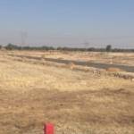 Images for Main Other of SRS Manokamna Enclave II