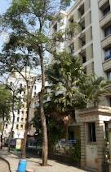 Images for Project Images for Project