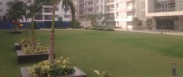  balaka-abasan Others