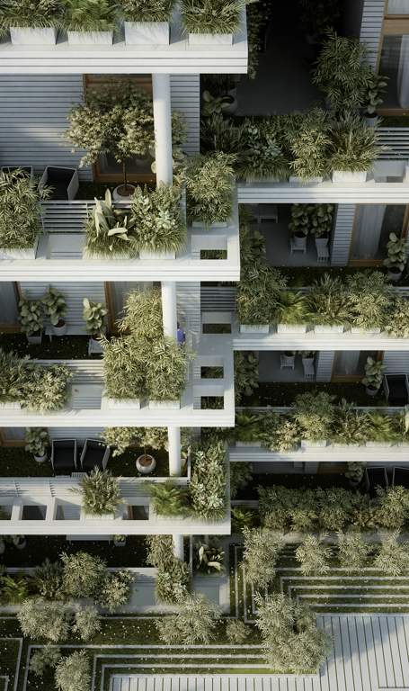  magic breeze Landscape Garden and Tree Planting