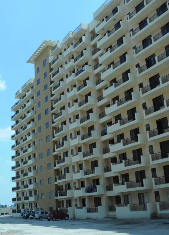 british park Elevation