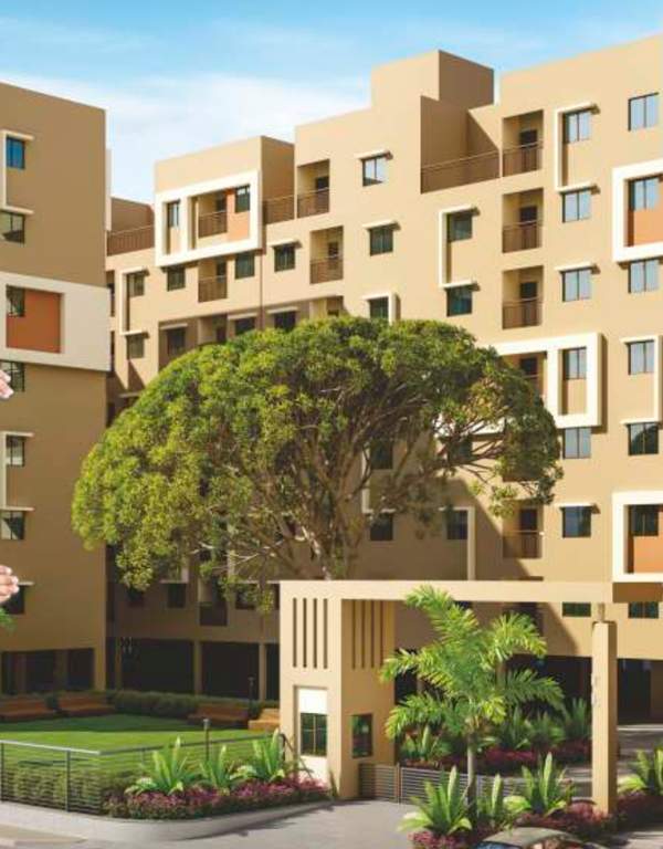 gold plus Images for Elevation of Om Gold Plus