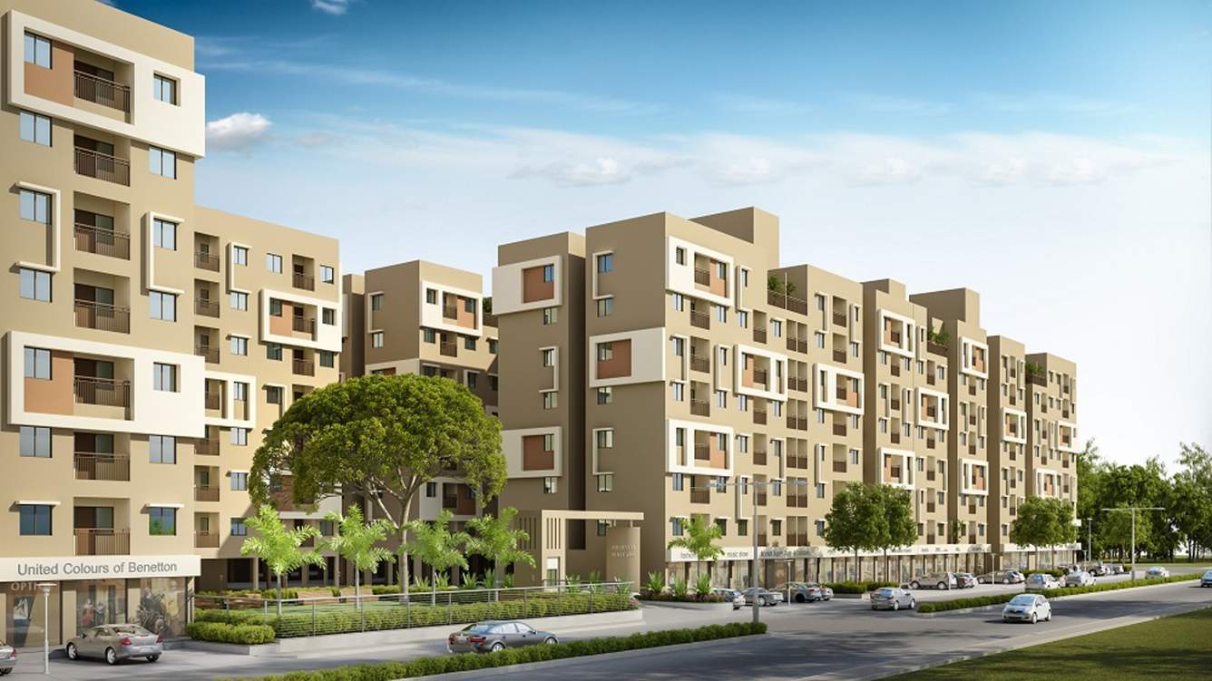 gold plus Images for Elevation of Om Gold Plus