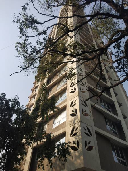  elegance Images for Project