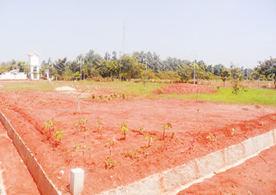 Images for Main Other of Blue Valley Green Woods