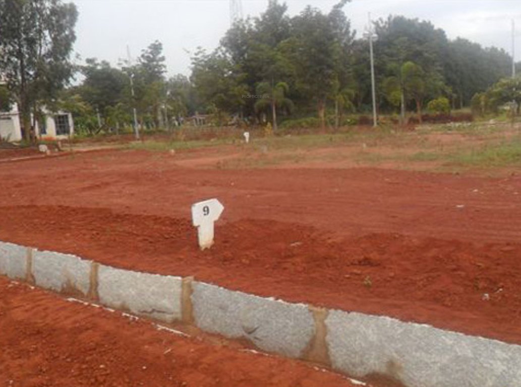 Images for Main Other of Blue Valley Green Woods