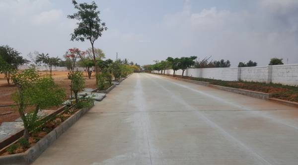 Images for Main Other of Siddhartha Sunny Vistaa