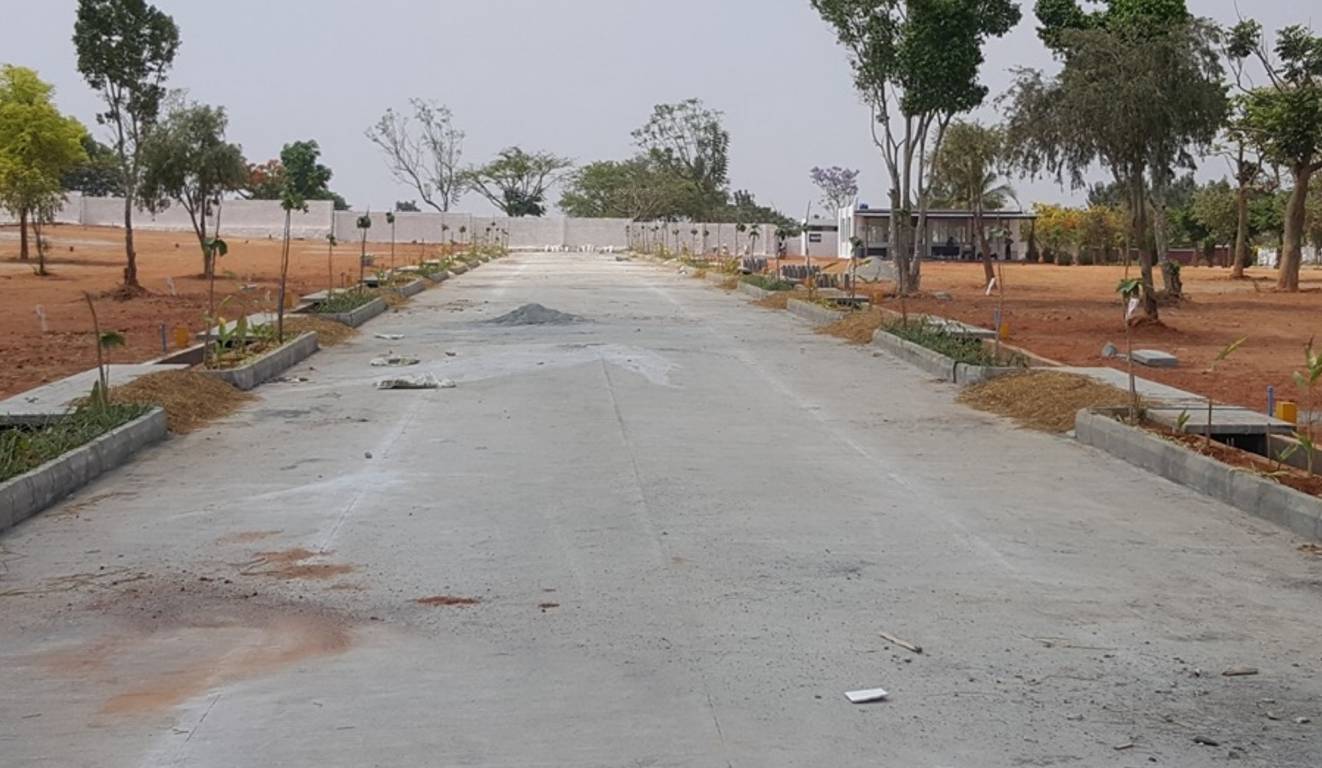 Images for Main Other of Siddhartha Sunny Vistaa