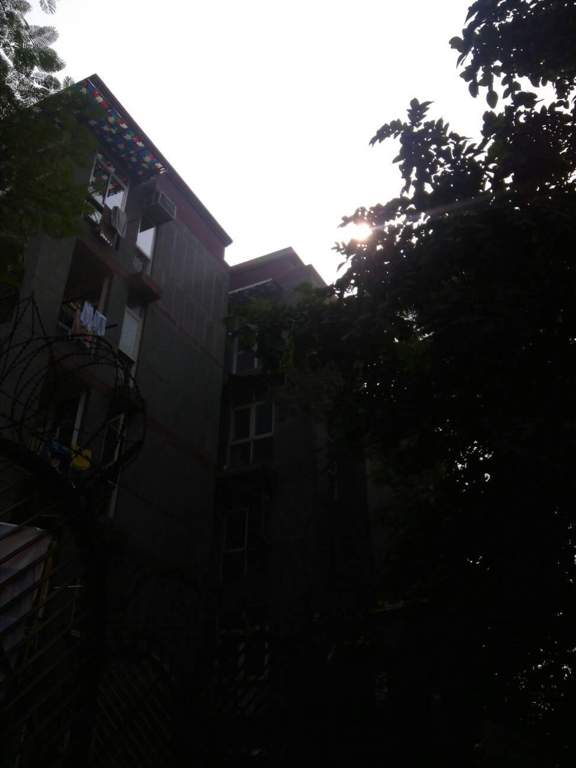 Images for Elevation of CGHS Group Rashtrapati BCA Apartments
