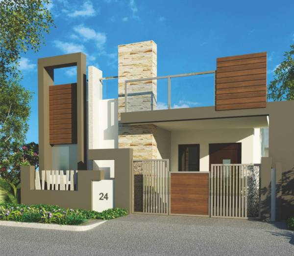  iris Images for Elevation of Mitta Iris