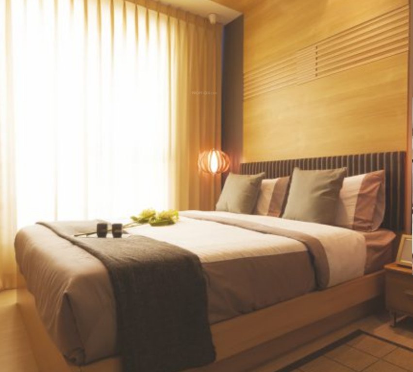 Images for Main Other of Mitta Iris