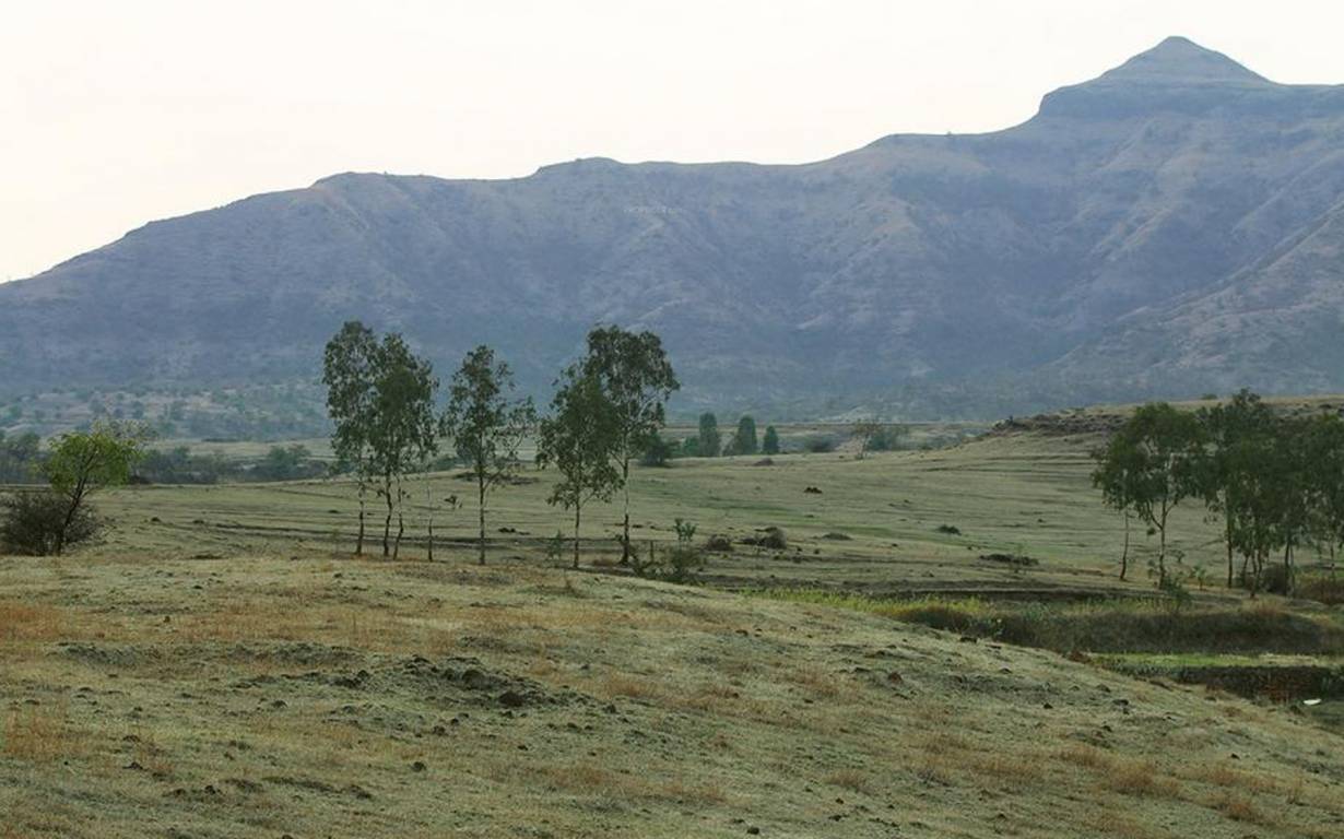 Images for Main Other of Kirti Backwater