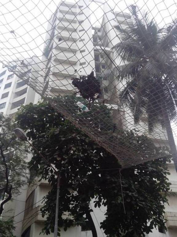 Images for Elevation of Reputed Builder Deep CHS