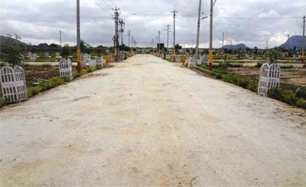 Images for Main Other of Maxworth Jagruthi