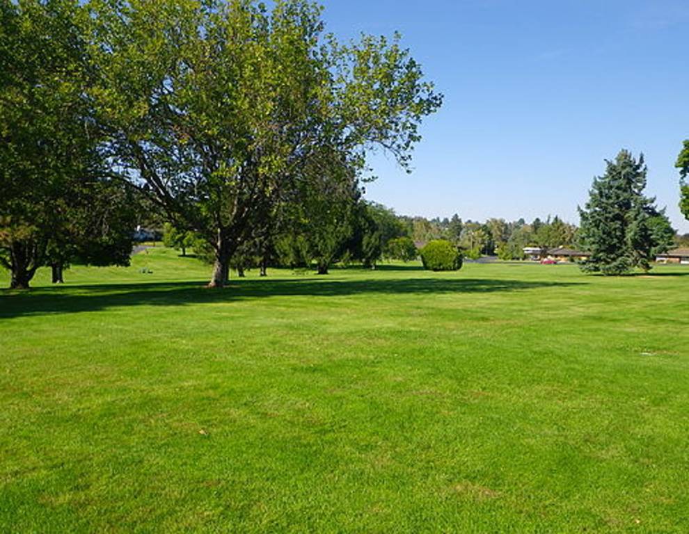 Images for Main Other of SVR Mist