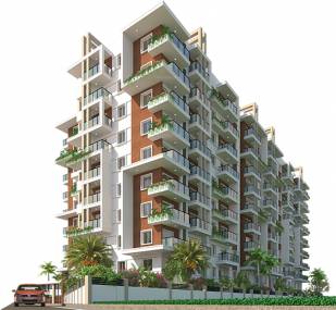 Images for Elevation of Kumari Amaranthine Images for Elevation of Kumari Amaranthine