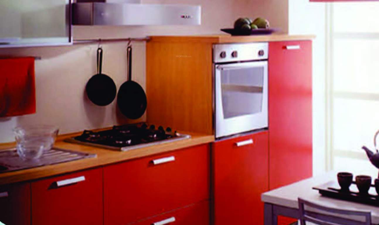  nest Images for Main Other of Magna Nest