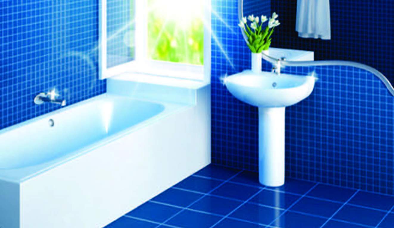  nest Images for Main Other of Magna Nest