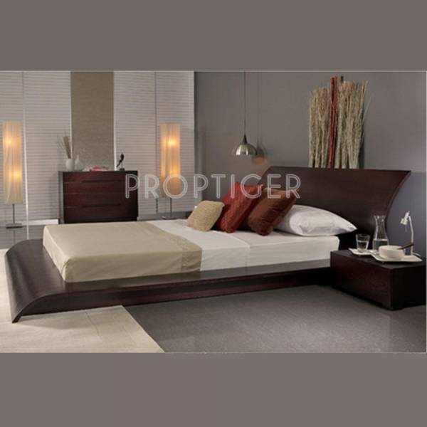 Images for Elevation of Reputed Builder Shree Dham