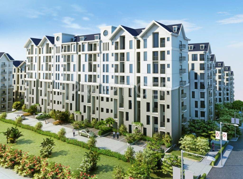  xrbia Images for Elevation of Xrbia Xrbia