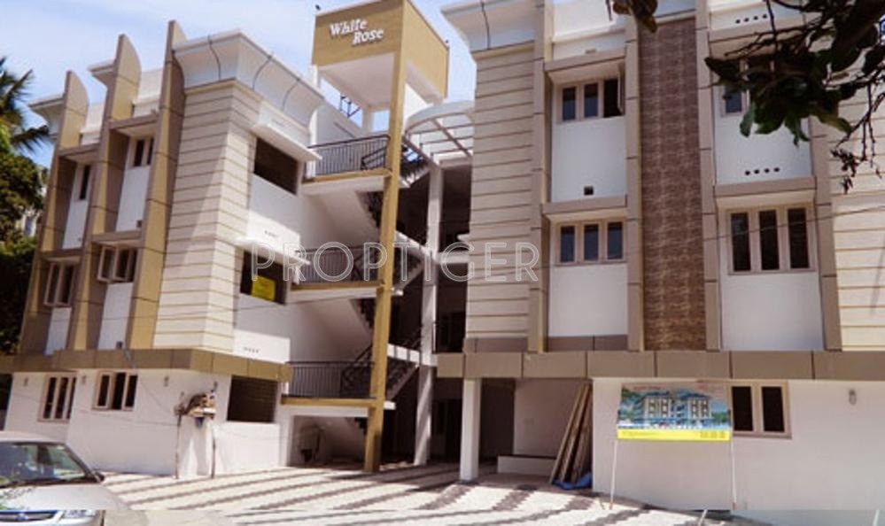 Images for Elevation of Nucleus Nucleus White Rose