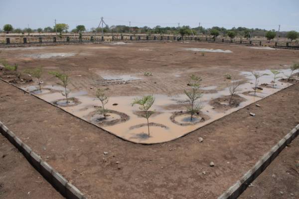 Images for Main Other of Vishnu Orange Vistas