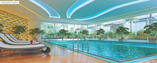 Swimming Pool cashmere-court Swimming Pool