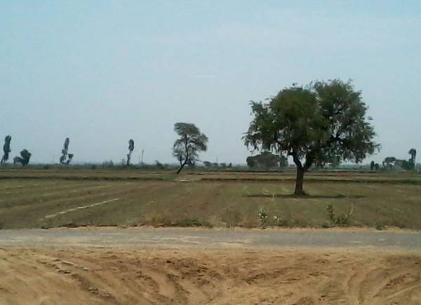 Images for Elevation of RBC Greater Gurgaon Sohna Sector 12