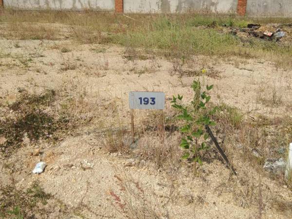  crosswinds-villa-plots Elevation