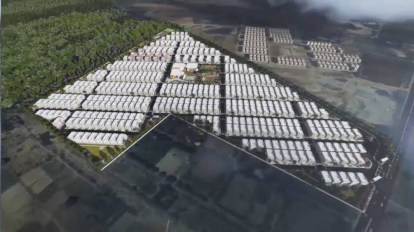 forest nest Images for Project