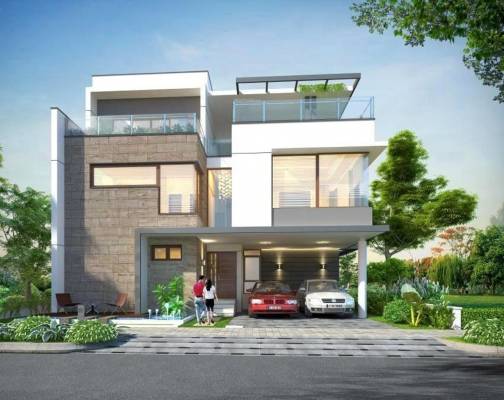 spring-valley Elevation Elevation