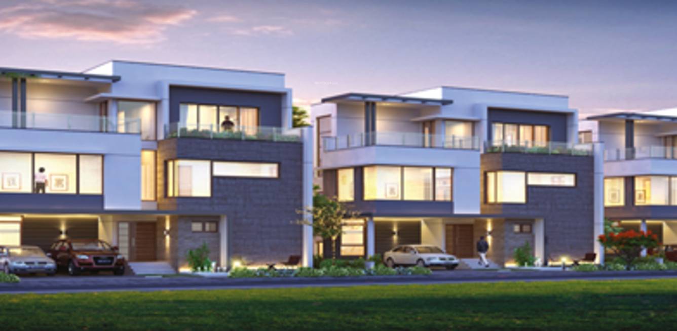 spring valley Elevation